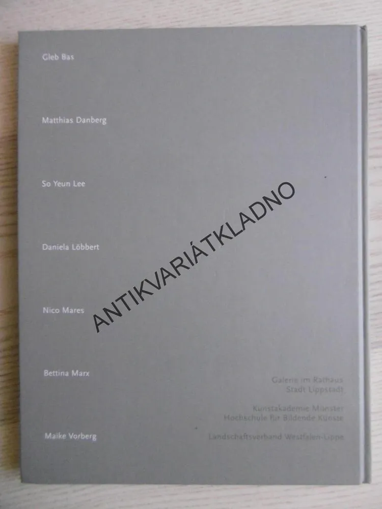 FLÄCHE UND FARBE, POSITIONEN ZUR MALEREI, NĚMECKY, **an