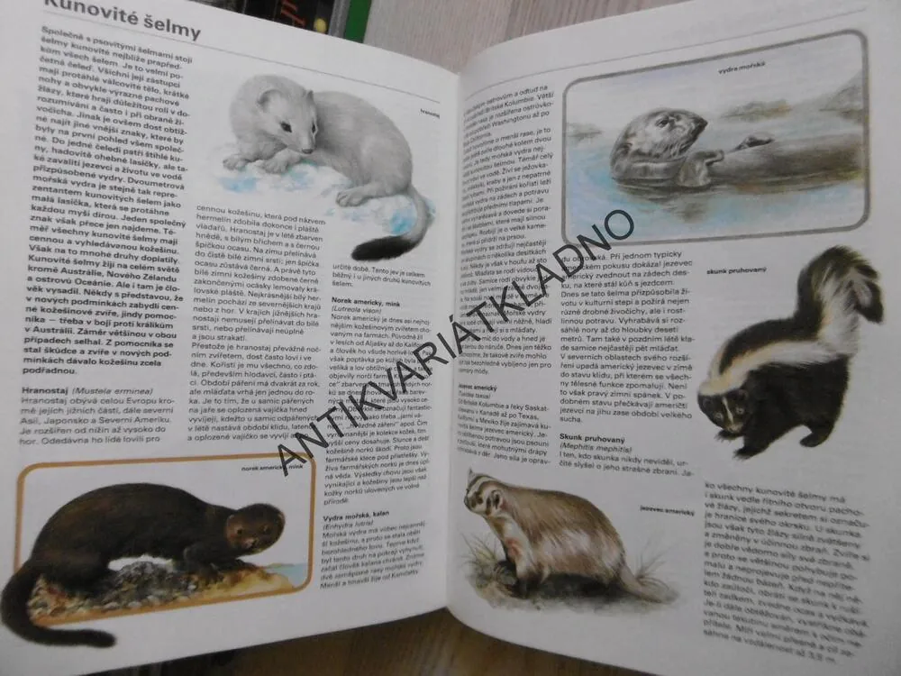 PESTRÁ PŘÍRODA, ZOOLOGIE, BOTANIKA, MINERALOGIE, **an