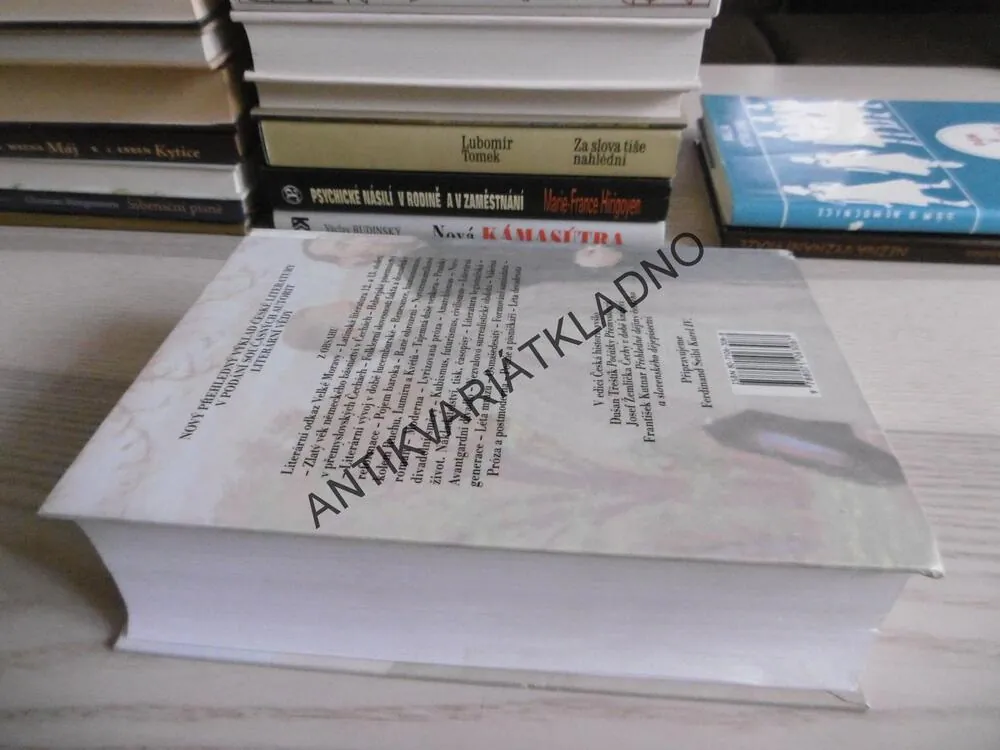 ČESKÁ LITERATURA OD POČÁTKŮ K DNEŠKU, JAN LEHÁR, ALEXANDR STICH, JAROSLAVA JANÁČKOVÁ, JIŘÍ HOLÝ, **an