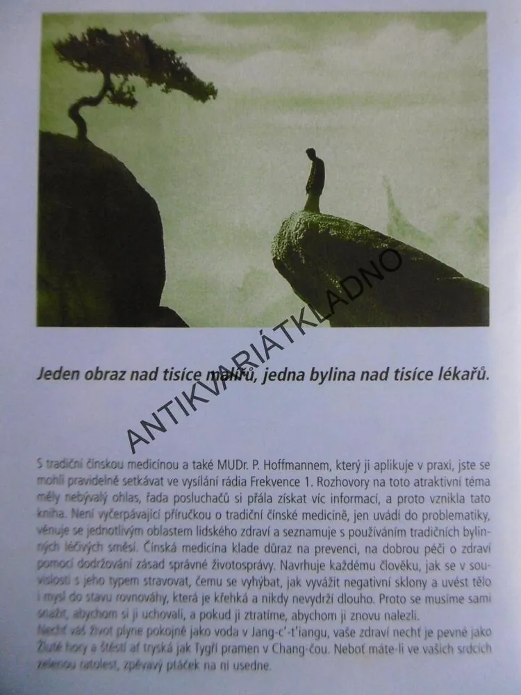 NA FREKVENCI ČÍNSKÉ MEDICÍNY, PETR HOFFMANN, **an
