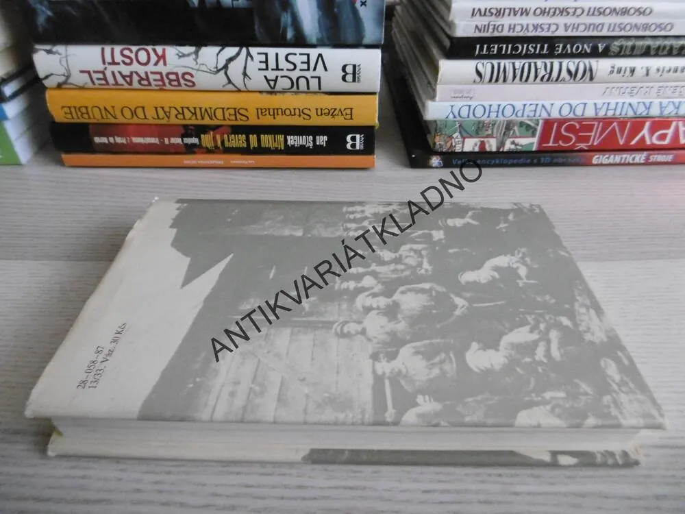 SVĚDKOVÉ VZDÁLENÉ PŘÍTOMNOSTI, STANISLAV ŠUSTA, **an