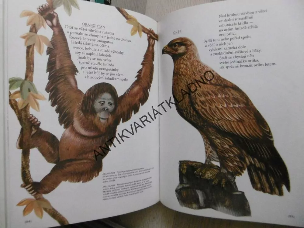 VELKÁ OBRÁZKOVÁ KNÍŽKA O ZVÍŘATECH, MILENA LUKEŠOVÁ, BOHUMIL ŘÍHA, **an