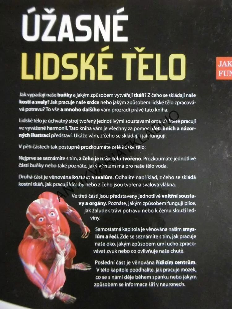 ÚŽASNÉ LIDSKÉ TĚLO, **an