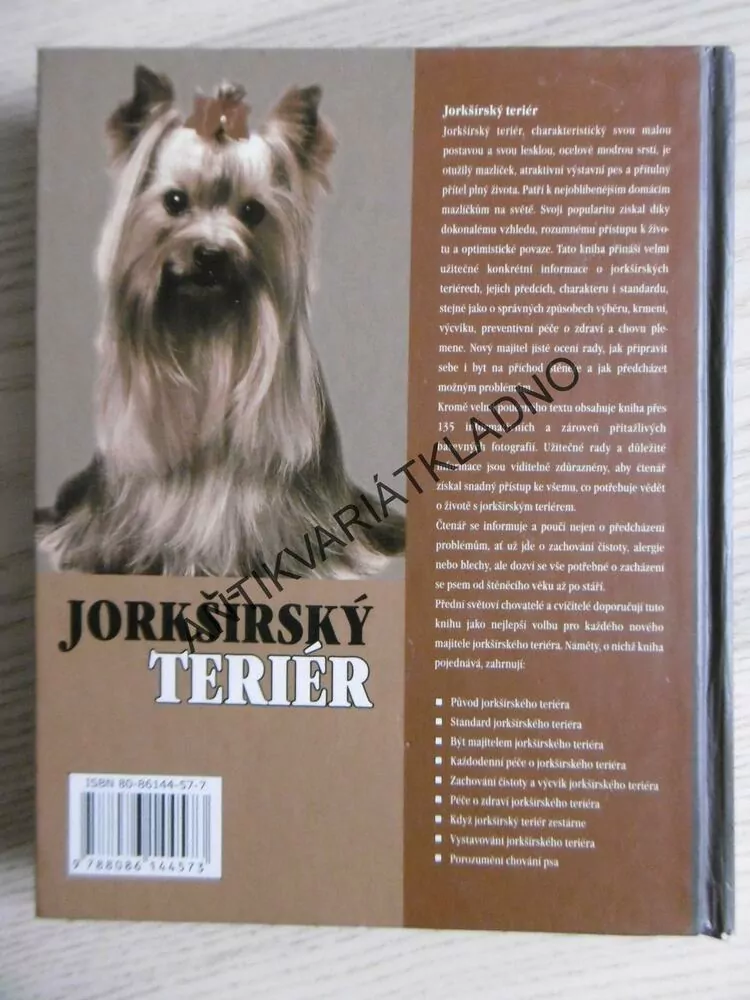 JORKŠÍRSKÝ TERIÉR, RACHEL KEYESOVÁ, **an