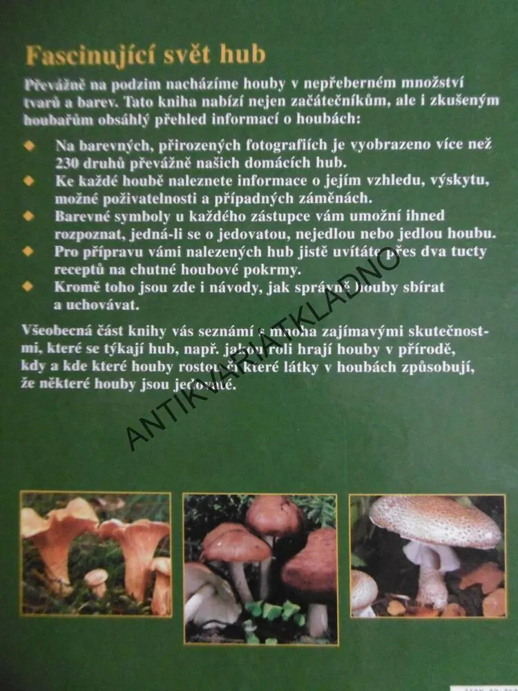 HOUBY,MARTIN KNOOP, URČOVÁNÍ, SBĚR, PŘÍPRAVA, MYKOLOGIE, **an