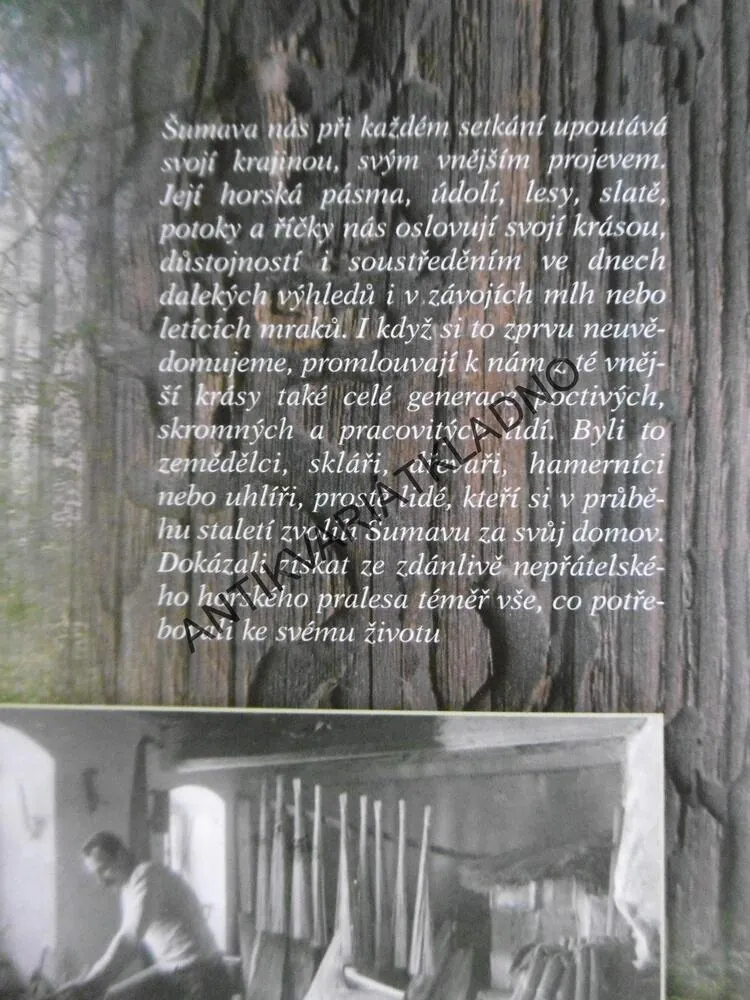 ŠUMAVSKÉ VZPOMÍNKY NA ČASY. KDY PRÁCE VONĚLA LESEM, LESNICTVÍ,DŘEVAŘSTVÍ, ŠUMAVA