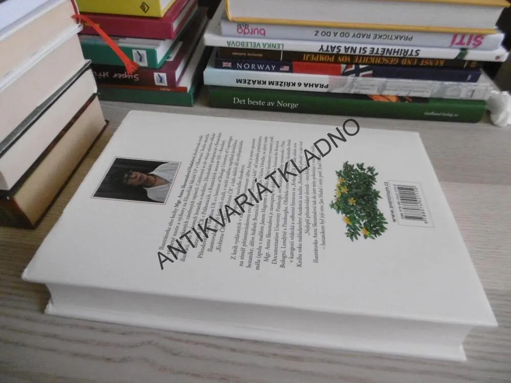 OKRASNÉ KEŘE A JEJICH POUŽITÍ V ILUSTRACÍCH ANNY SKOUMALOVÉ, VÁCLAV ZELENÝ, ANNA SKALICKÁ, **an