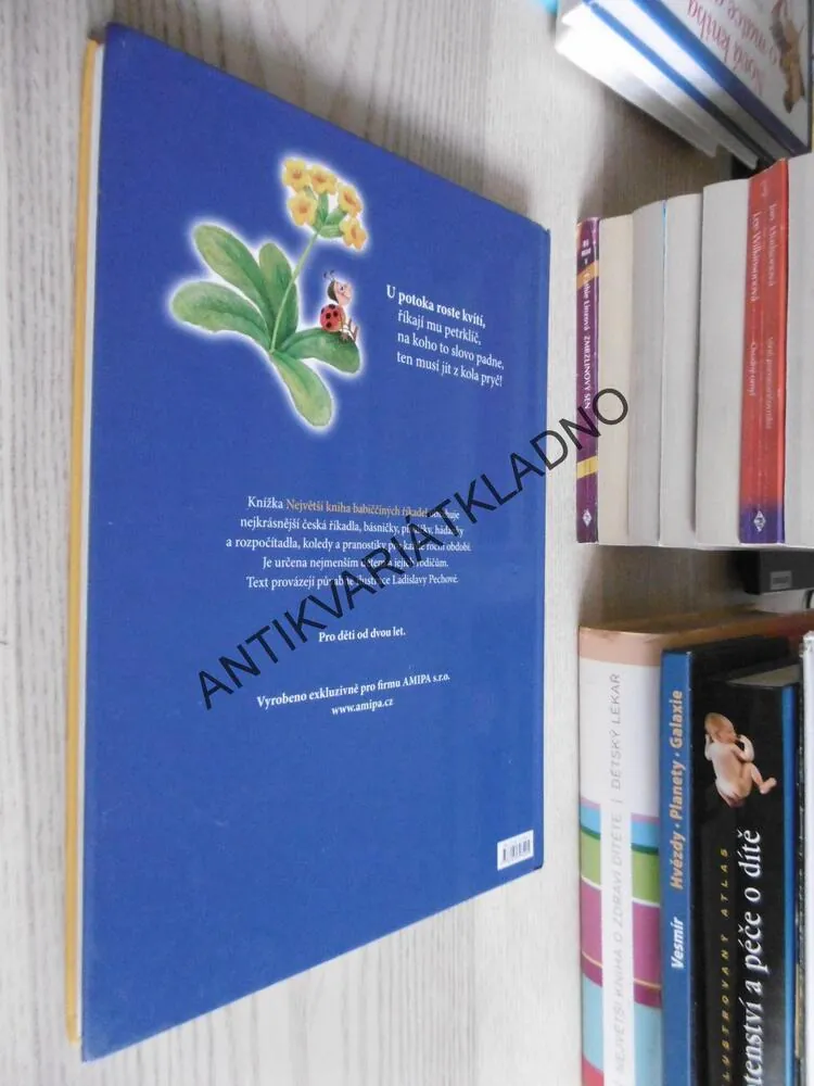 NEJVĚTŠÍ KNIHA BABIČČINÝCH ŘÍKADEL, **an