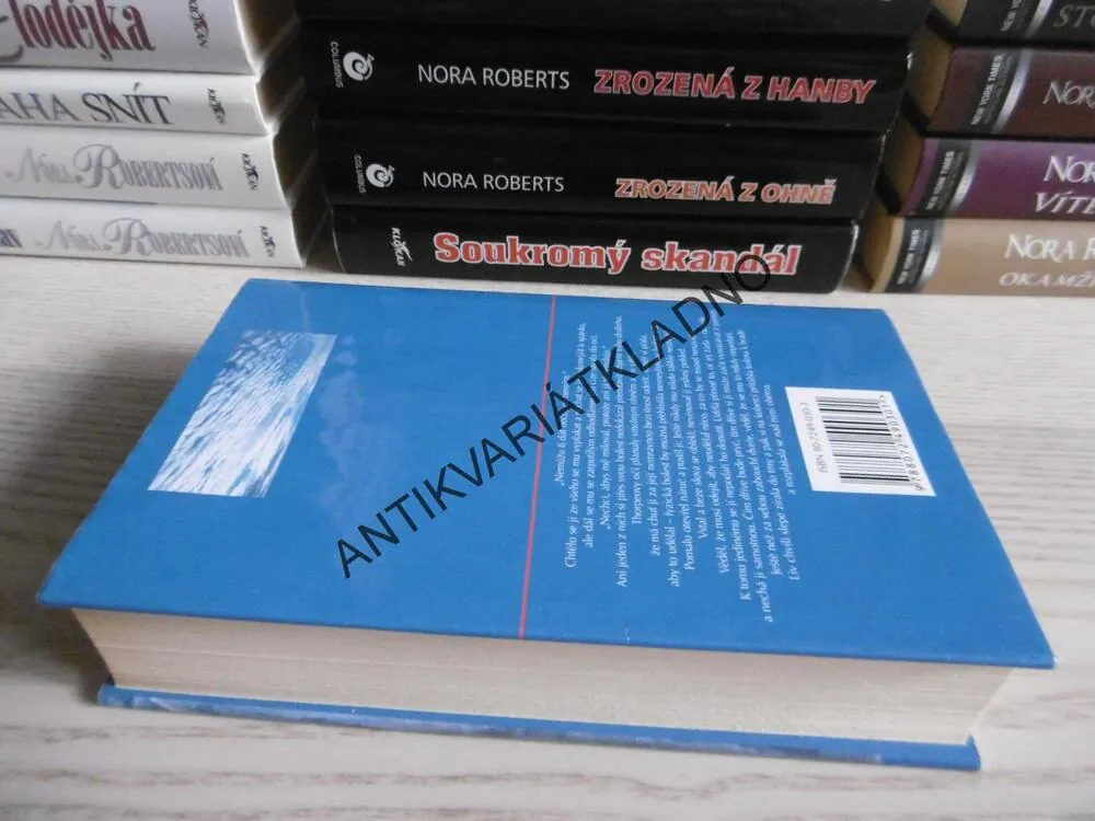PŘIJĎ A ZŮSTAŇ, NORA ROBERTSOVÁ, **an
