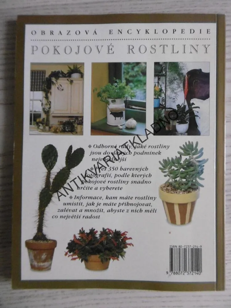 POKOJOVÉ ROSTLINY, PETER MCHOY, **an
