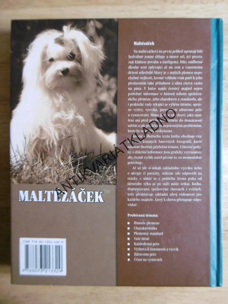 MALTÉZÁČEK, RASA MALTÉZSKÝ PSÍK, CUNLIFFEOVÁ, **an