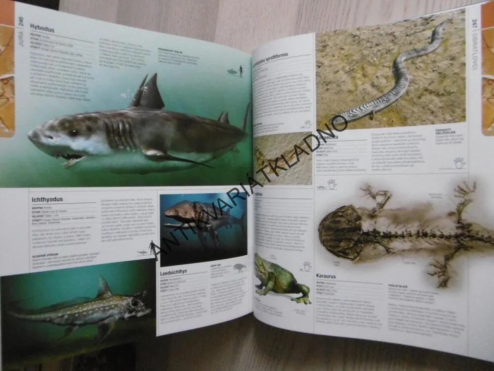 PREHISTORIE, OBRAZOVÝ PRŮVODCE VÝVOJEM ŽIVOTA NA ZEMI, **an