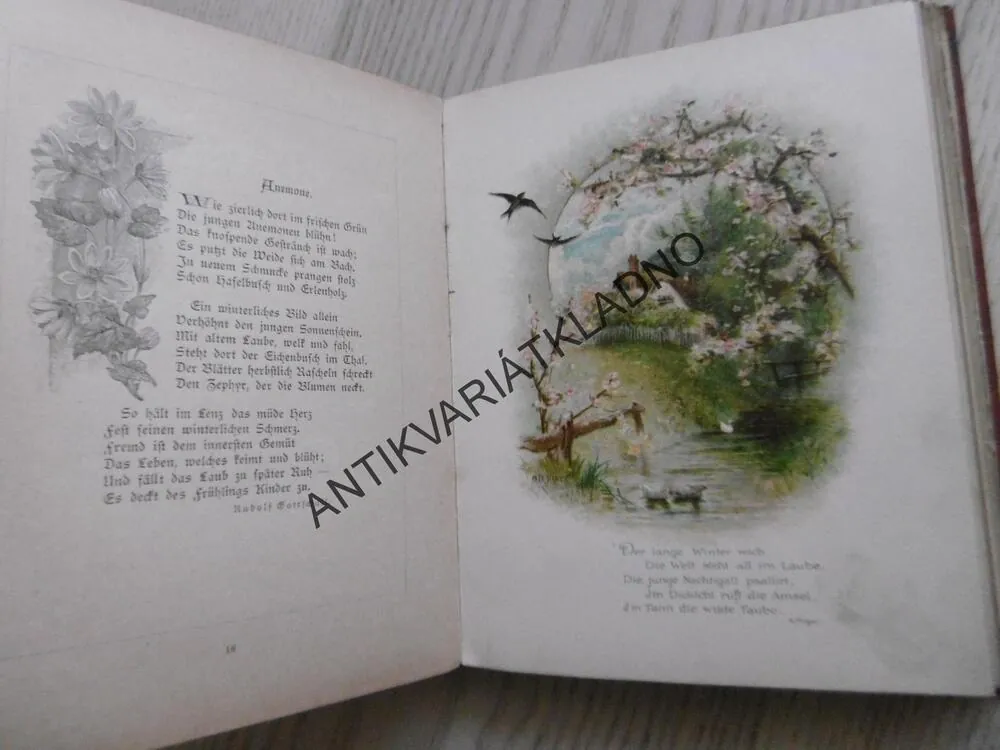 FLORA, LIEDER UND WEISEN, AMÉLIE GODIN, NĚMECKY, LITOGRAFIE,