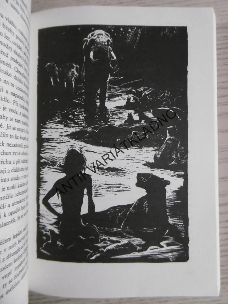 KNIHY DŽUNGLÍ, RUDYARD KIPLING, JAN HORA, **an