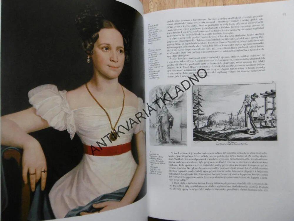 DĚJINY ČESKÉHO VÝTVARNÉHO UMĚNÍ 1780/1890 (III/1)