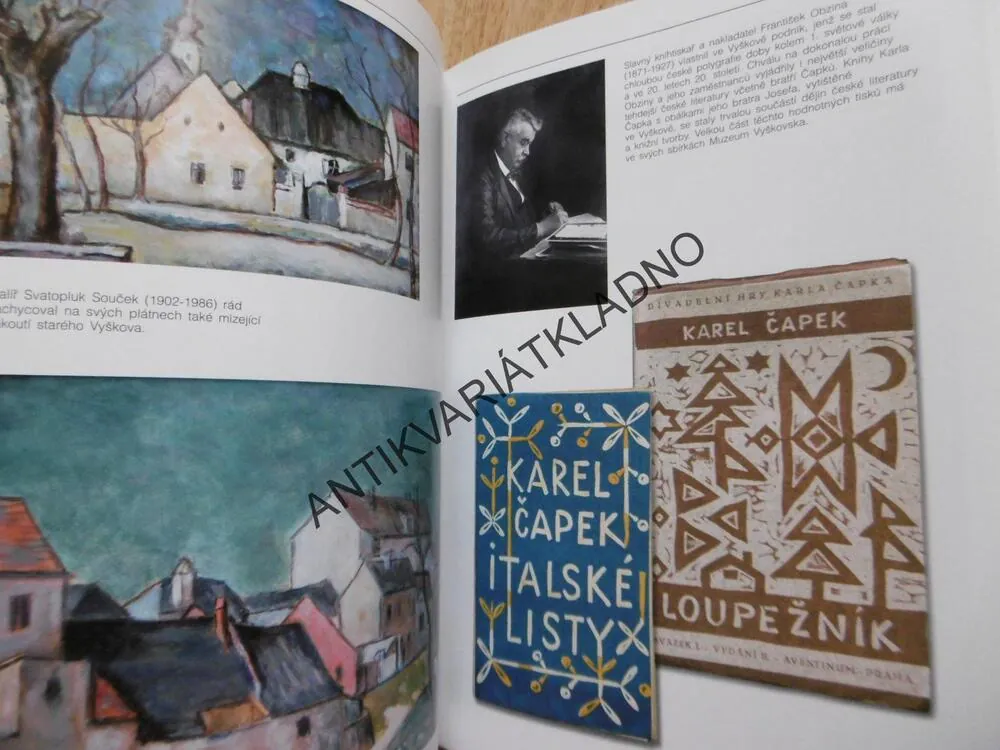 VYŠKOVSKÁ ZASTAVENÍ, VYŠKOV, SLOVEM I OBRAZEM,