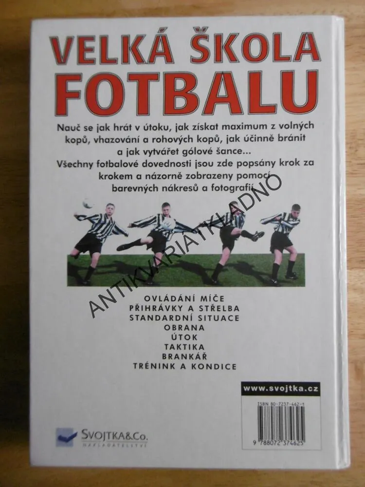 VELKÁ ŠKOLA FOTBALU, SPORT, FOTBAL,