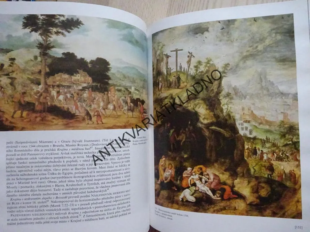 NIZOZEMSKÉ MALÍŘSTVÍ 15. A 16. STOLETÍ, JARMILA VACKOVÁ ,**an