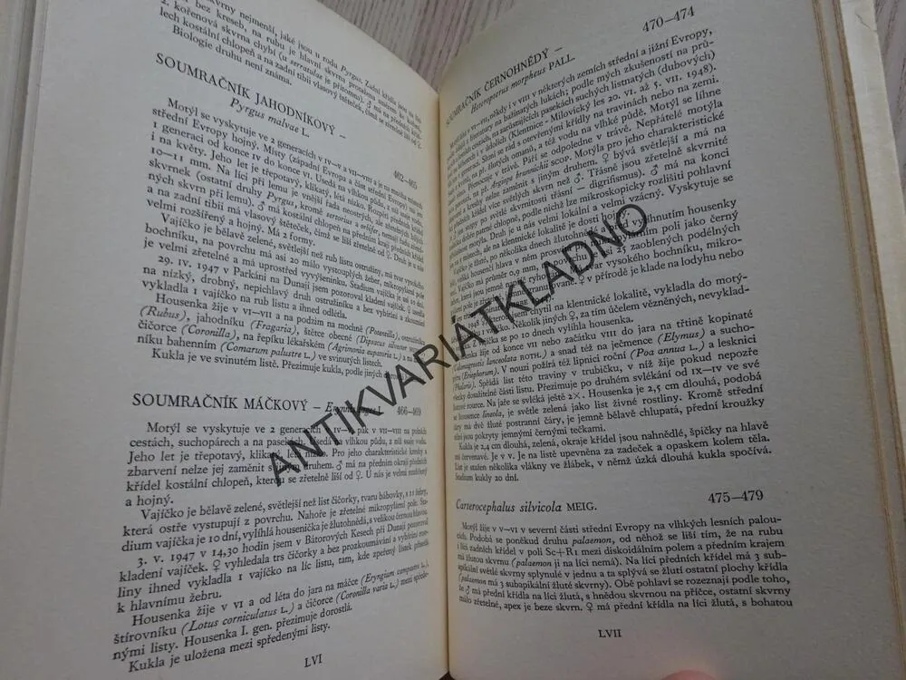 MOTÝLI 2, RUDOLF SCHWARZ, **an