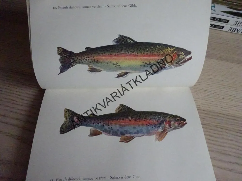 RYBY, OTAKAR ŠTĚPÁNEK, ANTONÍN POSPÍŠIL, **an