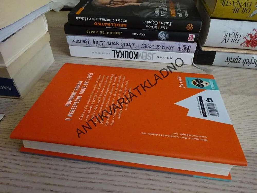 DNESKA BUDE VŠECHNO JINAK, MARIA SEMPLEOVÁ, **an