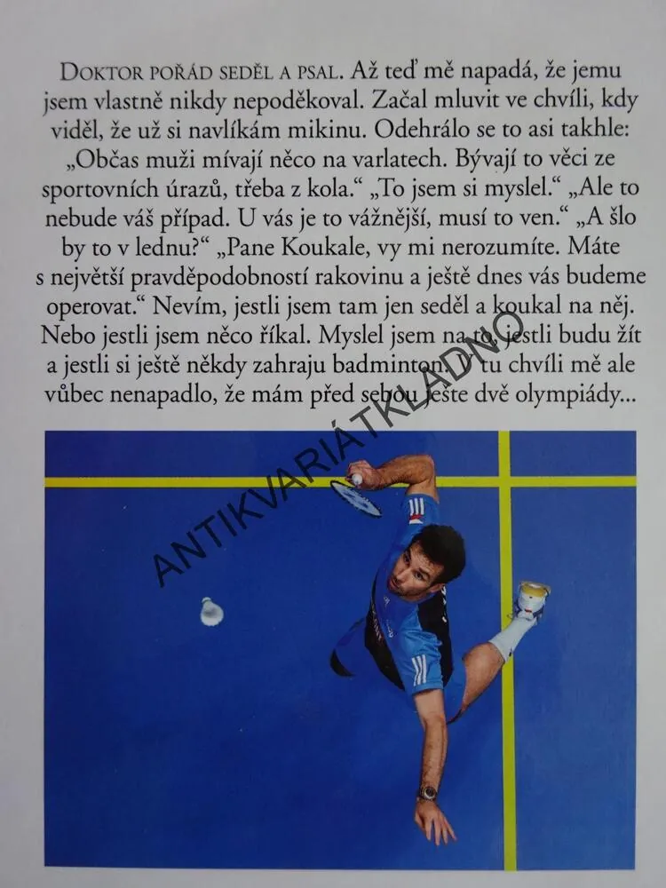 JSEM KOUKAL, PETR KOUKAL, MARTIN MORAVEC, **an