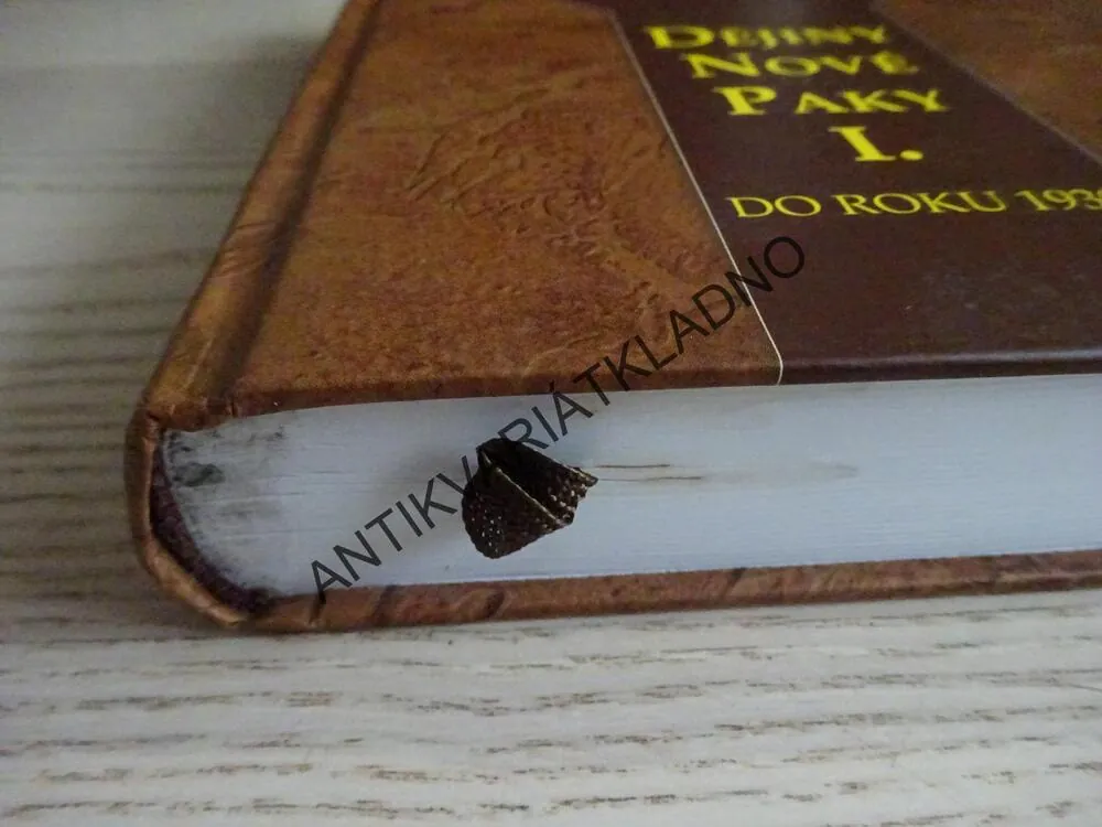 DĚJINY NOVÉ PAKY I., DO ROKU 1939, ZDENĚK BENEŠ, **an