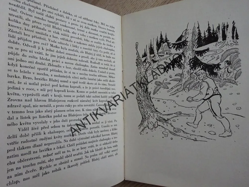 KRÁLOVNA POHÁDEK, POHÁDKY, JINDRA HORÁKOVÁ, ČERNÝ-KLATOVSKÝ, **an