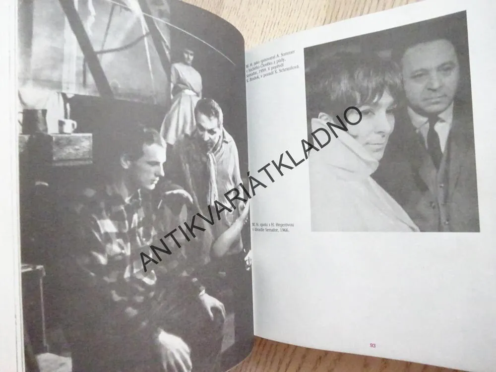 KLAUNOVY ROZPRAVY, MIROSLAV HORNÍČEK, **an