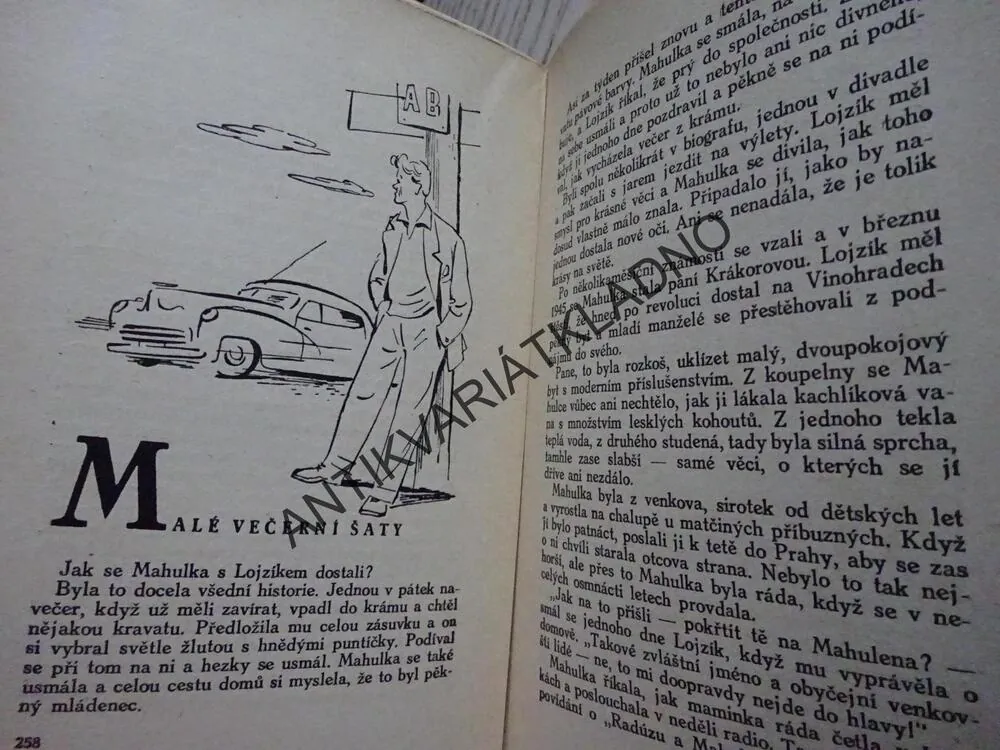 SRDCE A PARAGRAF, BOŽENA PÁTKOVÁ, **an