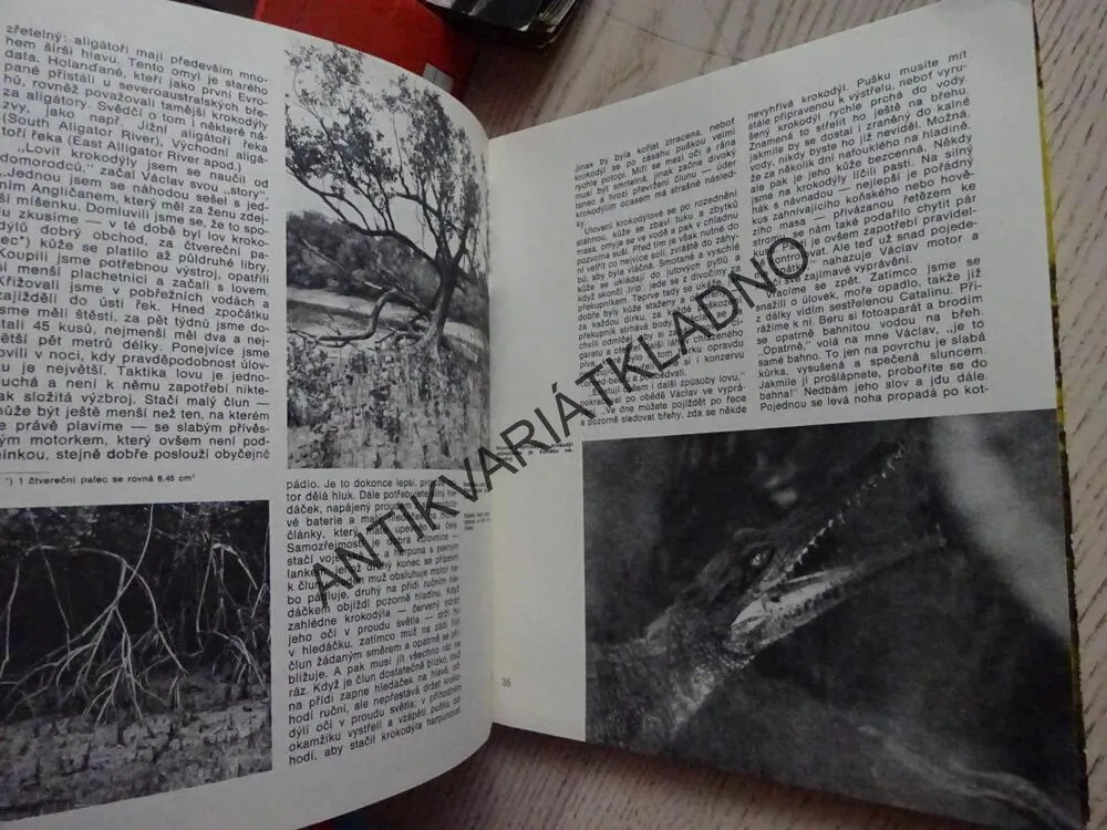 ...A ZNALI JEN KÁMEN, JOSEF BRINKE, **an