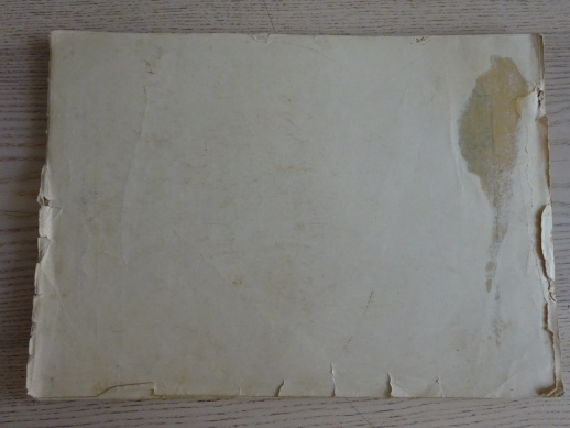 NÁVRAT Č. S. LEGIÍ KOLEM SVĚTA DO VLASTI, 1921