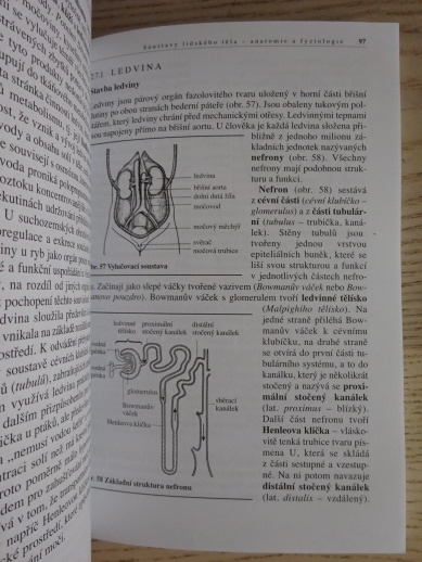 BIOLOGIE ČLOVĚKA, PRO GYMNÁZIA, 5. vydání