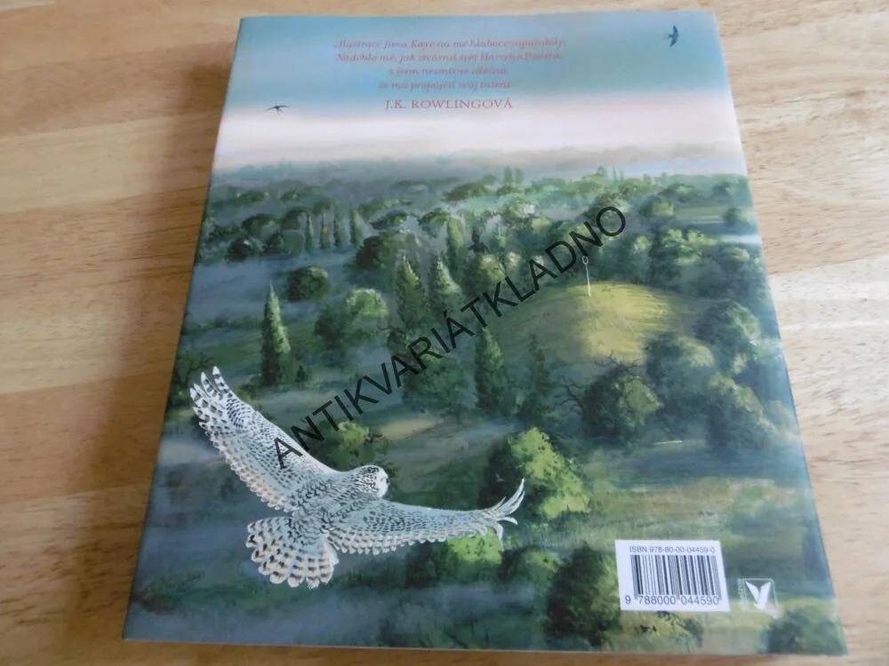 HARRY POTTER A TAJEMNÁ KOMNATA, J.K. ROWLINGOVÁ, JIM KAY