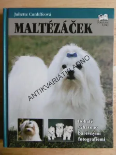 MALTÉZÁČEK, RASA MALTÉZSKÝ PSÍK, CUNLIFFEOVÁ, **an