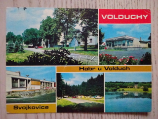 VOLDUCHY, HABR U VOLDUCH, SVOJKOVICE, OKRES ROKYCANY