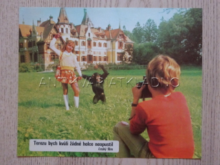 TEREZU BYCH KVŮLI ŽÁDNÉ HOLCE NEOPUSTIL, FOTOSKA FILM ČR 875