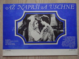 AŽ NAPRŠÍ A USCHNE, FILMOVÝ LETÁK