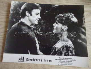 DIVOTVORNÝ HRNEC, FOTOSKA FILM USA 2111
