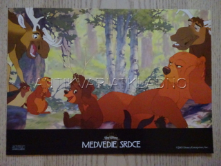 MEDVĚDÍ BRATŘI, FOTOSKA FILM DISNEY POHÁDKA 2336