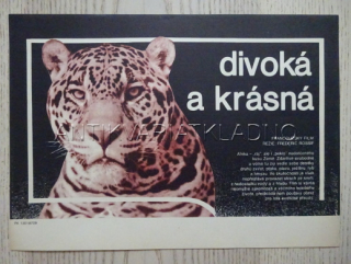 DIVOKÁ A KRÁSNÁ, FILMOVÝ LETÁK