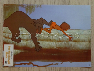 KNIHA DŽUNGLÍ, FOTOSKA FILM DISNEY POHÁDKA 2441