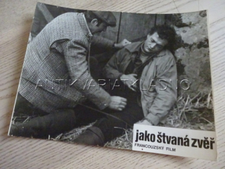 JAKO ŠTVANÁ ZVĚŘ, FOTOSKA FILM FR 2636