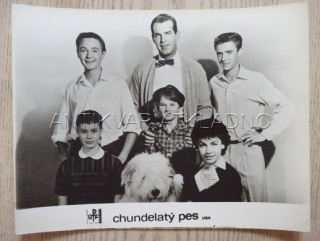 CHUNDELATÝ PES, FOTOSKA FILM USA 2763