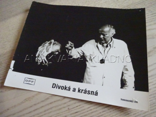 DIVOKÁ A KRÁSNÁ, FOTOSKA FILM FR 2821