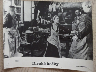 DIVOKÉ KOČKY, FOTOSKA FILM USA 3665