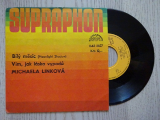 MICHAELA LINKOVÁ, BÍLÝ MĚSÍC, VÍM, JAK LÁSKA VYPADÁ, MALÁ DESKA