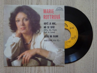 MARIE ROTTROVÁ, KDYŽ JE NOC, MÁ SE SPÁT, JIZVA NA DLANI, MALÁ DESKA