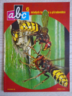 ABC, 6/1985