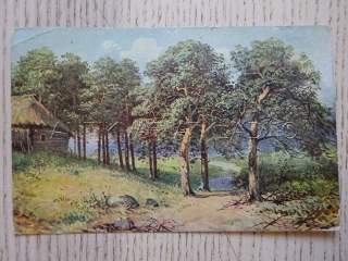 KRAJINA, LES, CHALUPA, STROMY, KALINOVSKÝ